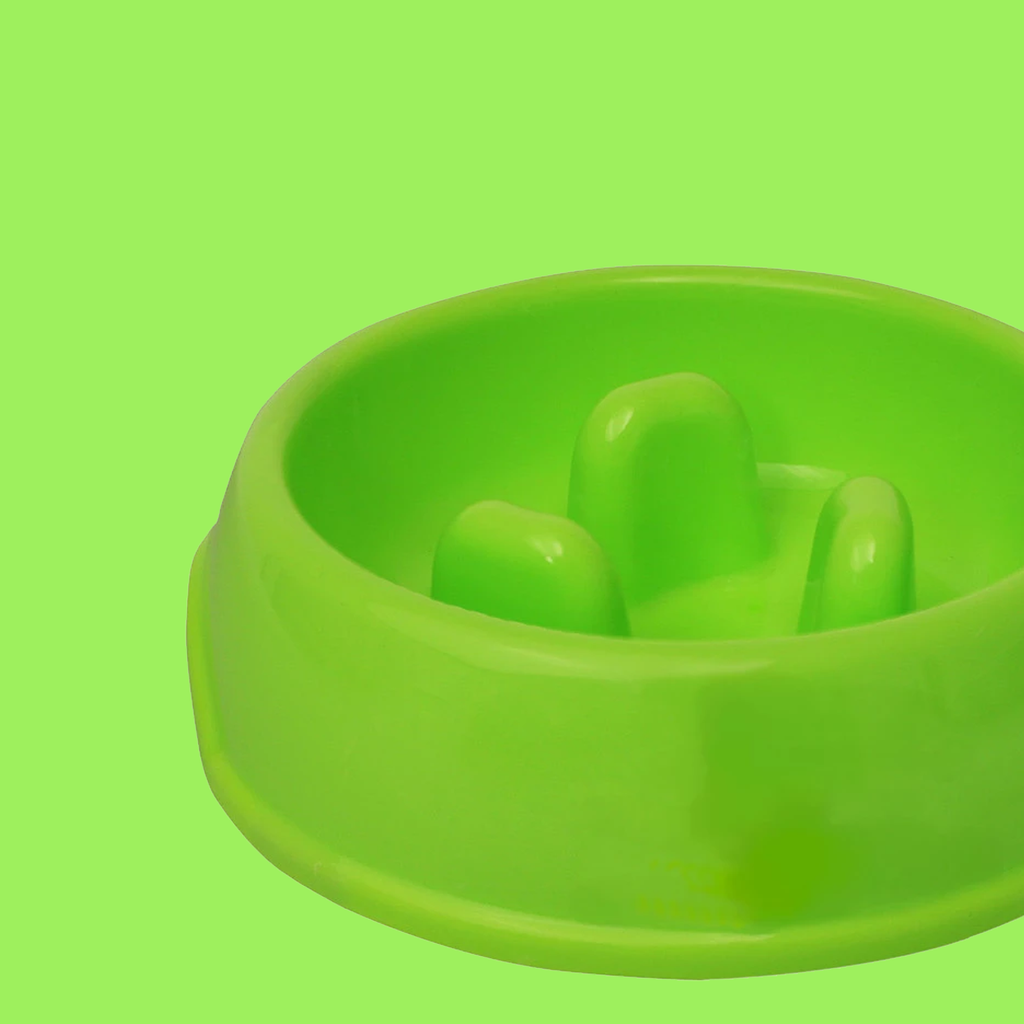 Bunty cat feeder deals