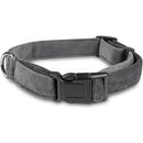 Bunty Fabric Dog Collar