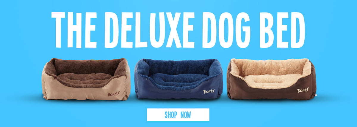 blue banner showing three different colour Bunty deluxe dog beds with white writing and a white shop now button