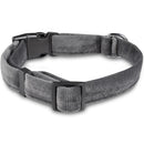 Bunty Fabric Dog Collar