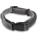 Bunty Fabric Dog Collar