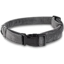 Bunty Fabric Dog Collar