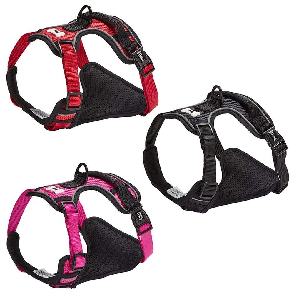 Bunty pet harness clearance