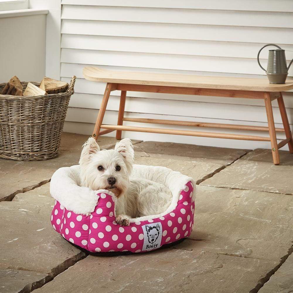 Groupon bunty dog bed best sale