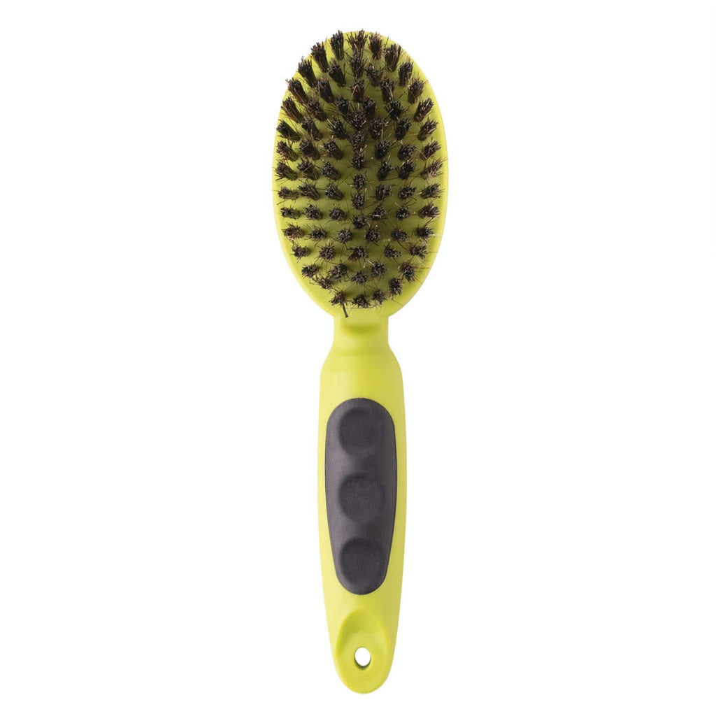 Dog store bristle brush