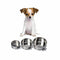 Dog Crate Water Bowl - Bunty