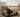 Are Orthopaedic Beds Good For Dogs?