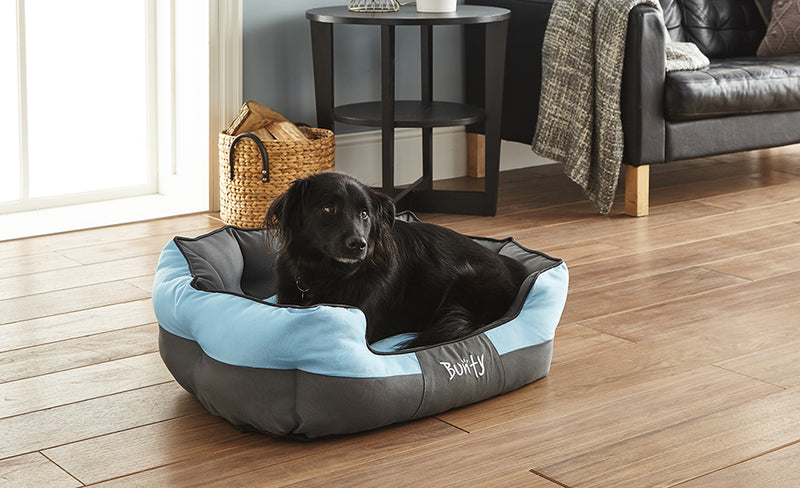 How To Buy A Dog Bed