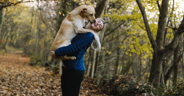 Most loyal dogs revealed