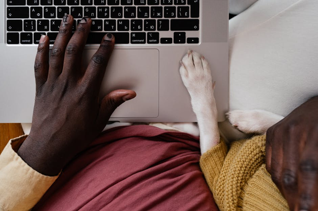 10 Tips For Working From Home With A Puppy