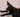 How Do Dogs Get Fleas?