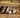 When Do Dogs Stop Growing?