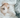 Should you Sleep with your Pet?
