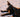 What Does A Tick Look Like On A Dog?