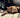 How To Train Your Cat To Use A Cat Carrier