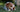 Why Do Dogs Eat Grass?