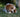 Why Do Dogs Eat Grass?