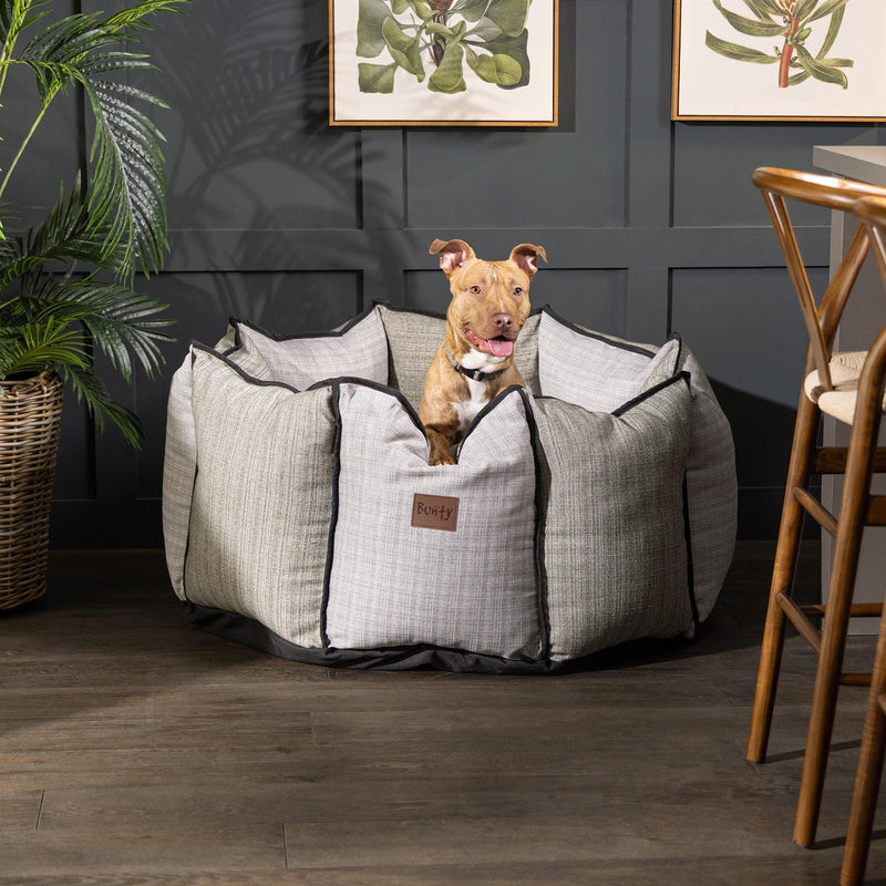 Grey High Sided Dog Bed - Bunty Windsor