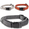 Bunty Fabric Dog Collar