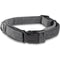 Bunty Fabric Dog Collar