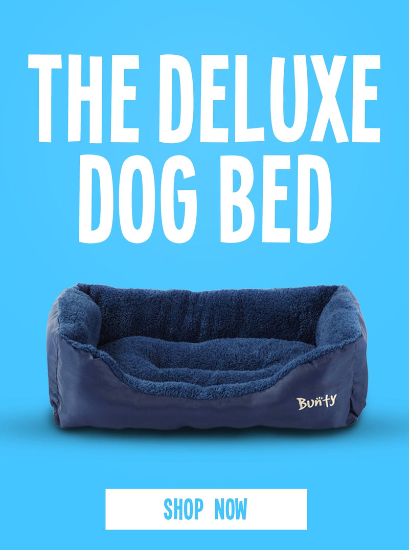 Blue Bunty dog bed on a blue background with a 'shop now' button and writing in white