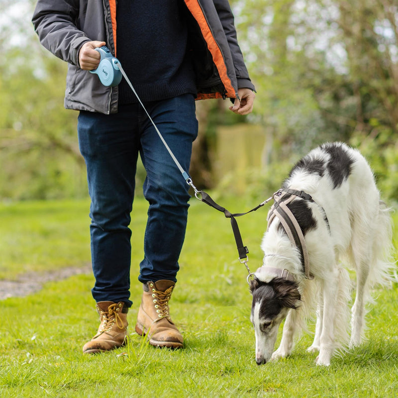 Bunty Explorer Retractable Dog Lead 5-8M