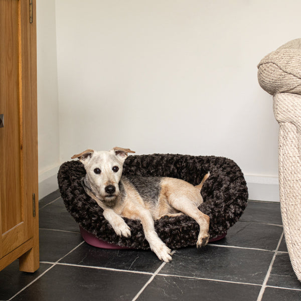 Plastic dog bed cushion deals