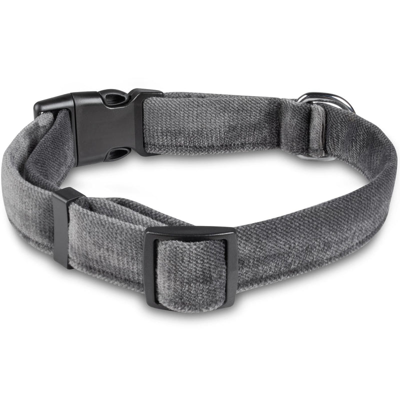 Bunty Fabric Dog Collar