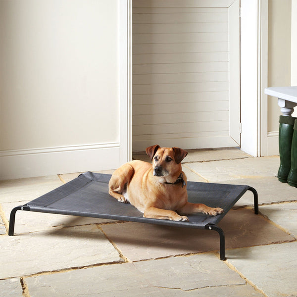 Raised Dog Bed, Elevated, Waterproof Outdoor - Bunty