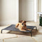 Raised Dog Bed, Elevated, Waterproof Outdoor - Bunty