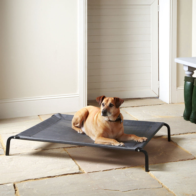 Raised Dog Bed, Elevated, Waterproof Outdoor - Bunty