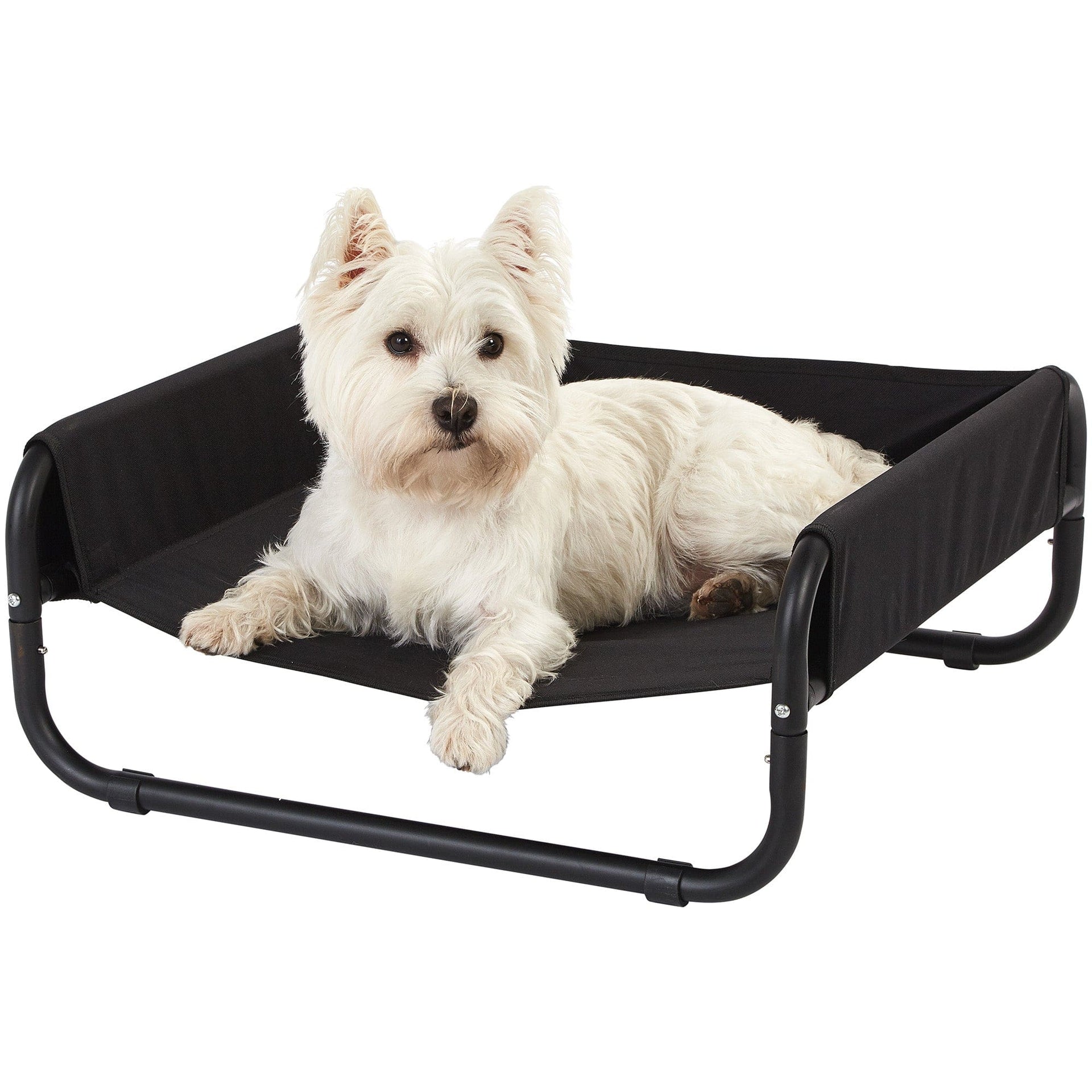 Raised Dog Bed With Sides Small To Large Elevated Dog Beds From