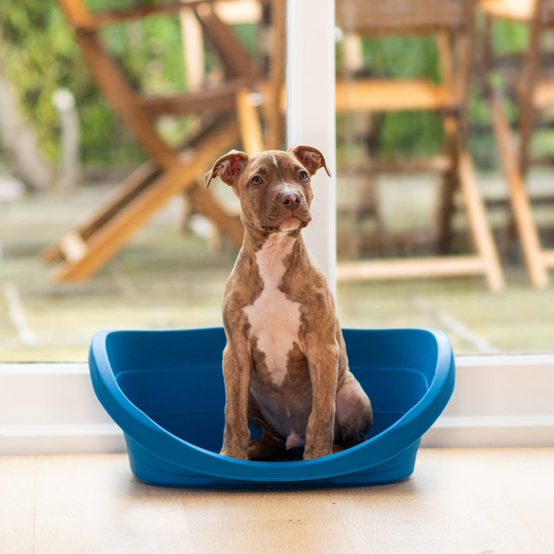 Armadillo Indestructible Plastic Dog Bed