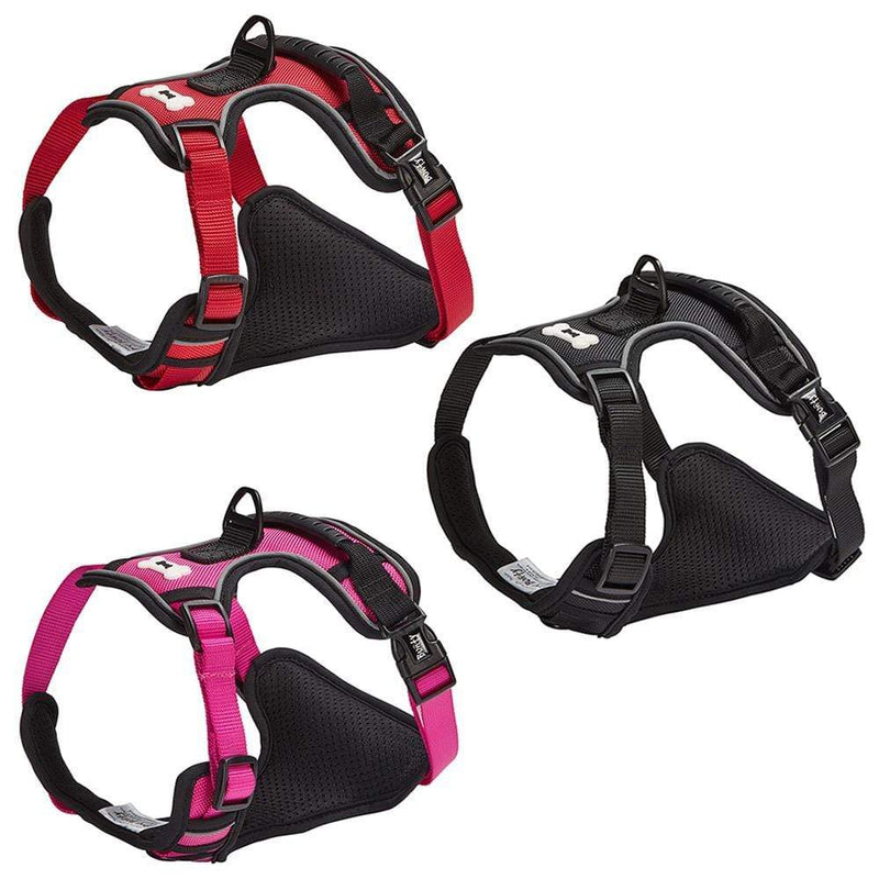 Bunty dog harness size on sale guide