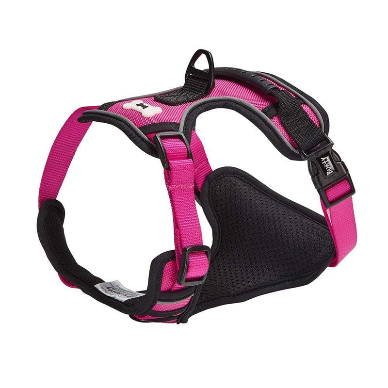 Bunty Adventure Harness