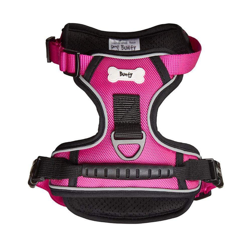 Bunty shop adventure harness