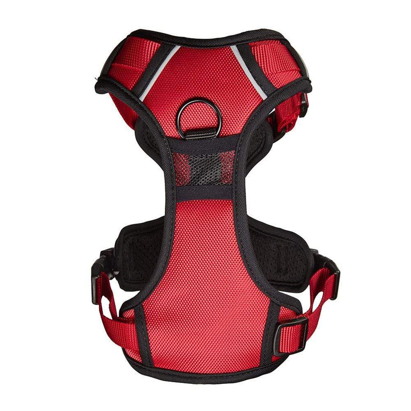 Bunty adventure harness hotsell