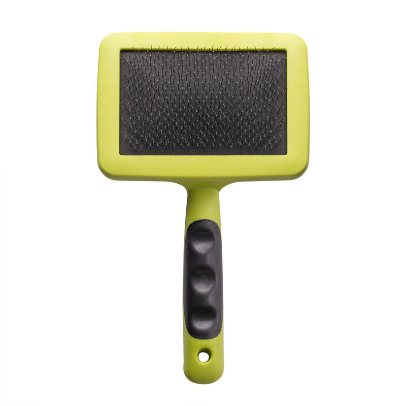 Slicker Brush For Dogs Bunty