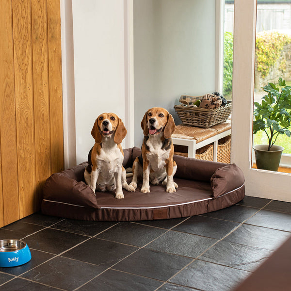Large corner dog bed shop