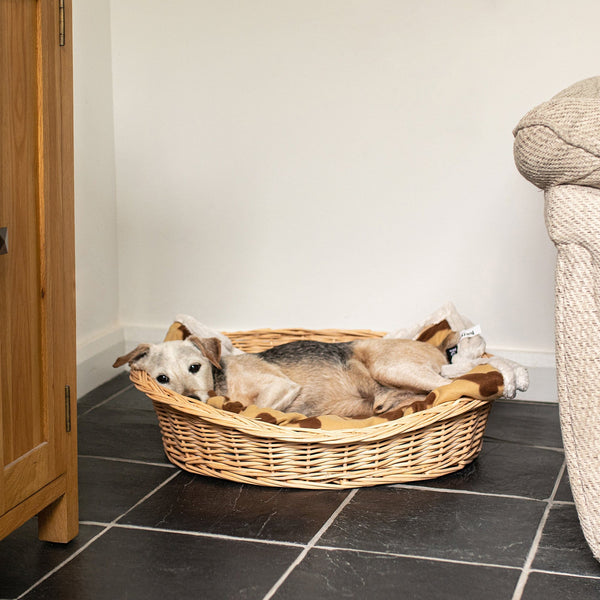 Wicker Dog Basket