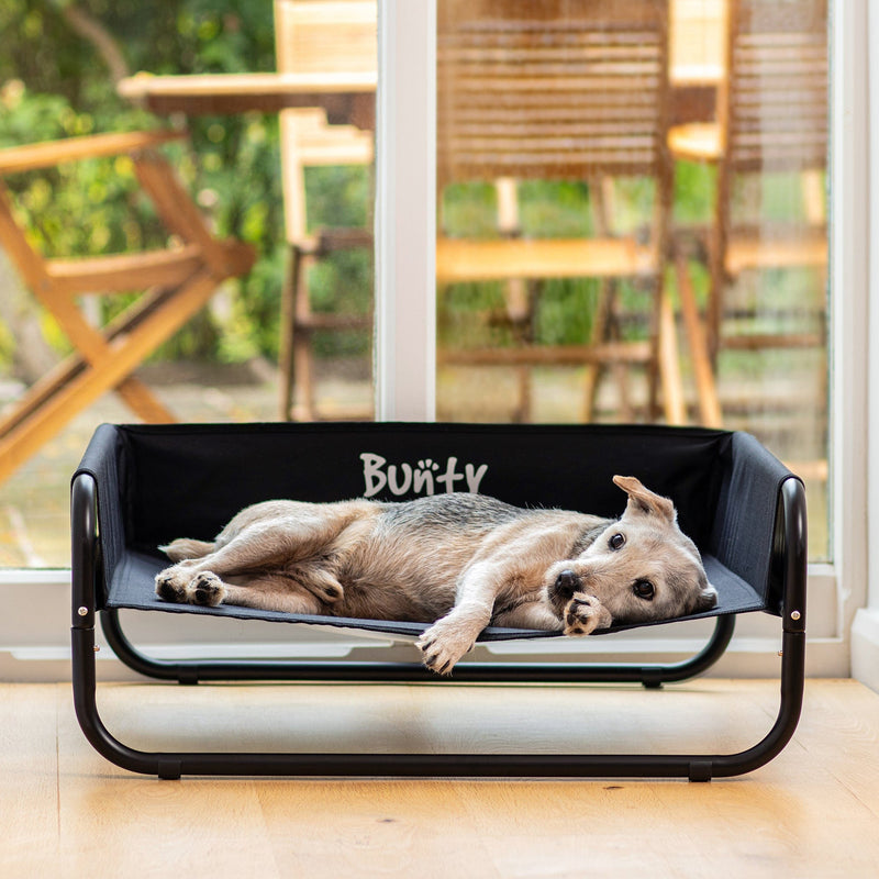 Raised Dog Bed With Sides, Elevated Waterproof Outdoor - Bunty