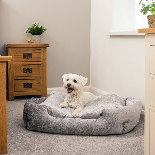 Crushed velvet best sale dog bed groupon