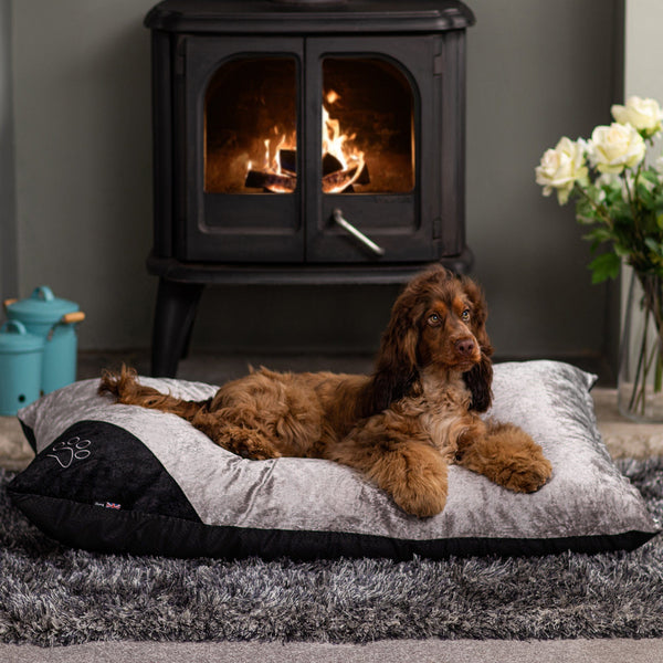 Crushed Velvet Cushion Dog Bed - Bunty Bellagio
