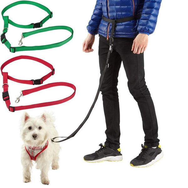 Waist dog lead discount