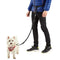 Hands Free Dog Lead & Leash for Running, Adjustable Waist Belt