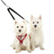 Double Dog Lead Splitter with Clip for Collar Harness