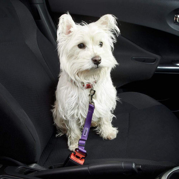 Dog & Cat Seat Belt Safety Travel Restraint, Harness Clip For Car Van Lead