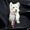 Dog & Cat Seat Belt Safety Travel Restraint, Harness Clip For Car Van Lead