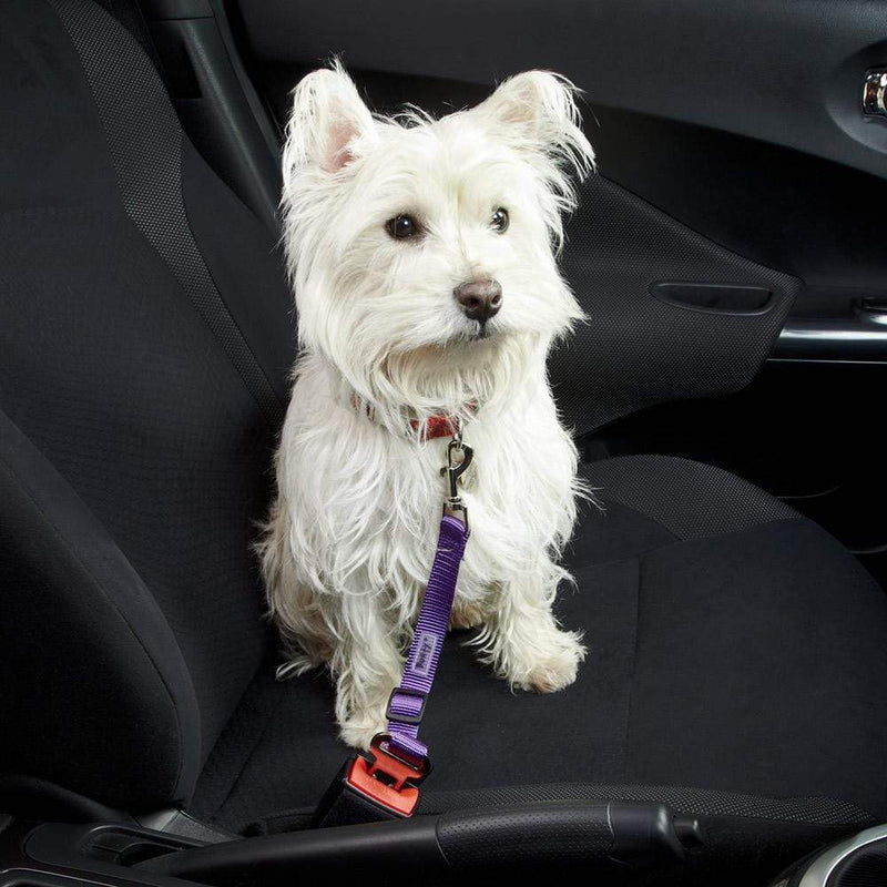 Dog Car Seat Belt Restraint For Safety Bunty Pet Products