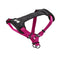 Dog Harness - Bunty Strap 'N' Stroll